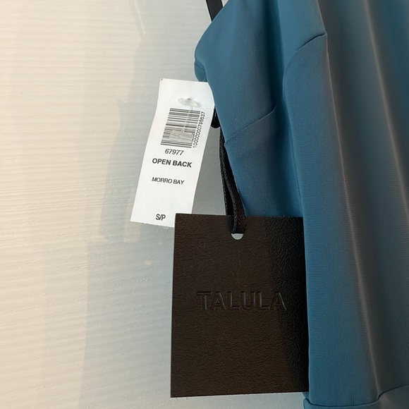 Aritzia Talula Floor-Length Dress - Picture 5 of 9